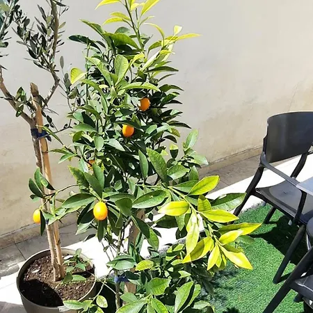 Apartamento Hidden Gem, Modern 2bedroom, Amazing Terrace-free Parking-your Away From
