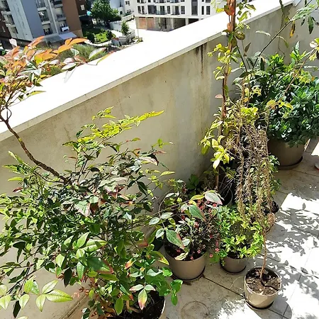 Hidden Gem, Modern 2bedroom, Amazing Terrace-free Parking-your Away From Appartement