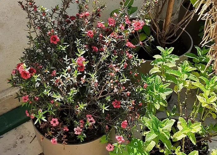 Hidden Gem, Modern 2bedroom, Amazing Terrace-free Parking-your Away From ティラナ