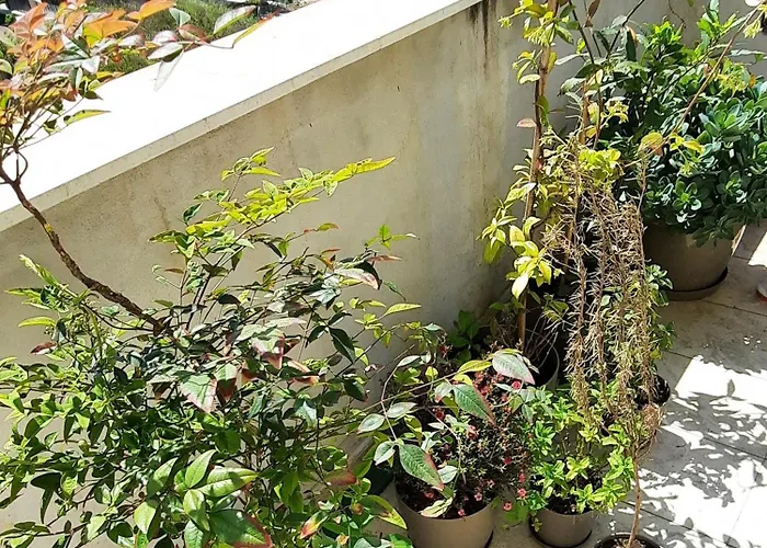 Hidden Gem, Modern 2bedroom, Amazing Terrace-free Parking-your Away From アパート